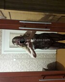 Анкета проститутки Ульяна - метро Беговой, возраст - 35